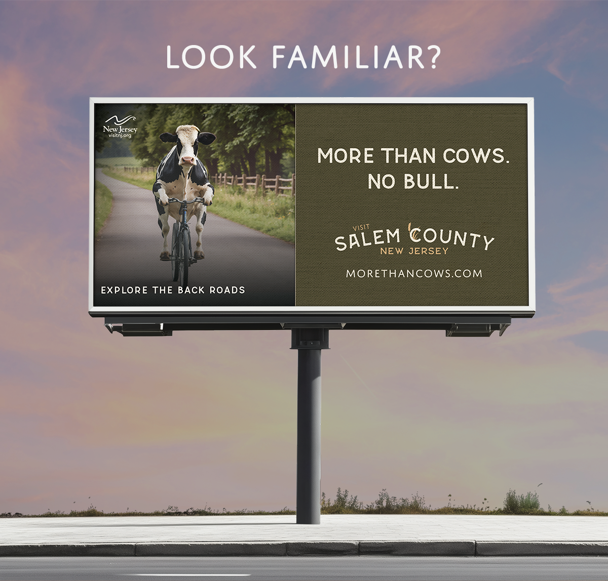 An image of a billboard with a cow riding a bicycle. Headline reads, "More than Cows. No Bull." Caption reads, "Explore the back roads." Visit Salem County New Jersey and Visit New Jersey logos, as well as the website URL "MoreThanCows.com," are displayed on the billboard. The words "Look Familiar" appear above the billboard.